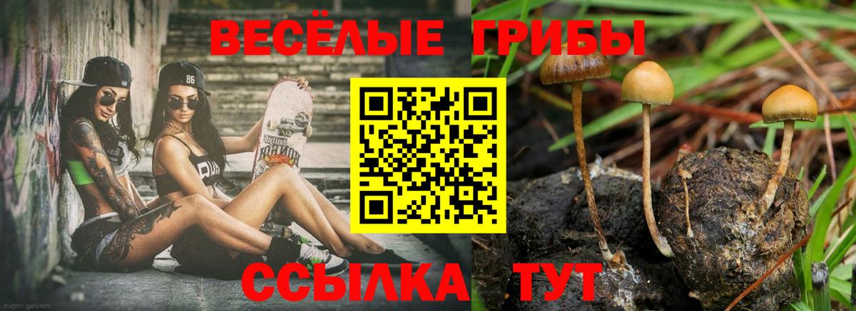 Урус-Мартан  Галлюциногенные грибы прущие грибы  Вход с VPN  Галлюциногенные грибы мицелий 