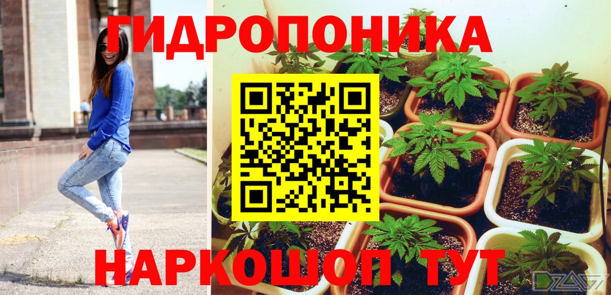 Конопля план Урус-Мартан